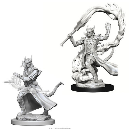 D&D Nolzur's Marvelous Miniatures - Male Tiefling Sorcerer