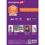 Папка для рисования А4 20 л. 160 г/м2 BRAUBERG 210х297 мм "Орел" (10 штук в упаковке)