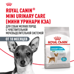 Royal Сanin Mini Urinary Care Мини Уринари Кэа Корм сухой диета для собак мелких размеров с чувствительной мочевыделительной системой 3кг