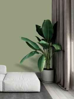 UNDERTONE Краска Быстросохнущая, Гладкая, Акриловая, Матовое покрытие, 0.03 л, 0.05 кг, оливковый