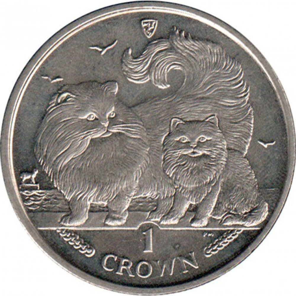 Персидская кошка