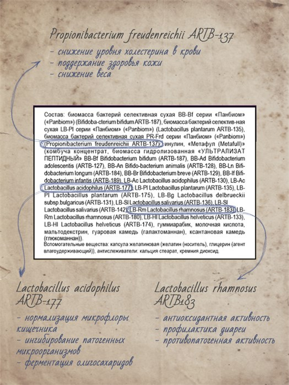 Пробиотики, капсулы, 570 мг, 60 шт