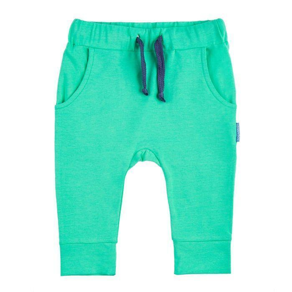 Штанишки для мальчиков "Giraffe" р.98 зелёный