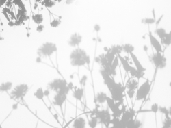 Коллекция VETVE 22