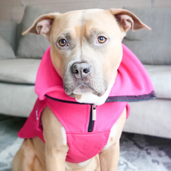 Непромокаемая попона Dog Coat BullyBillows