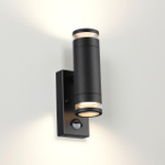 Уличный настенный светильник с датчиком движения Odeon Light MOTTO 6605/2W