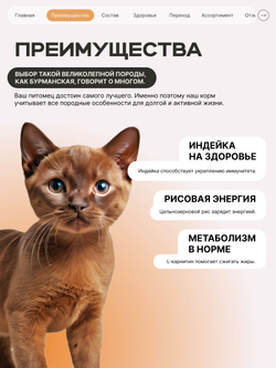 Корм сухой для котят породы Бурманская, с индейкой, 2кг, QUATTRO