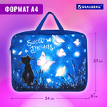 Папка на молнии с ручками BRAUBERG А4 1 отделение полиэстер 80 мм "Sweet dreams" (2 штуки в упаковке)