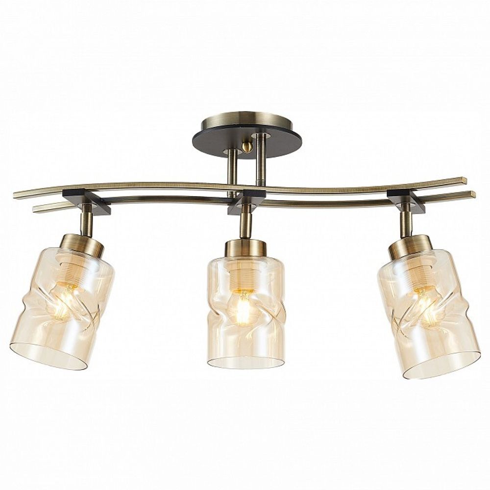 Спот Citilux Мерида CL142134