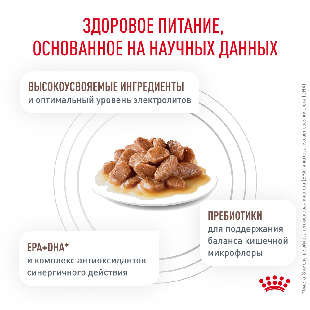 Royal Canin Gastrointestinal Гастроинтестинал Корм влажный диета для взрослых кошек при расстройствах пищеварения 85г