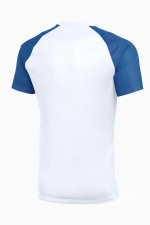 Футболка Nike Dri-FIT Academy II - белый