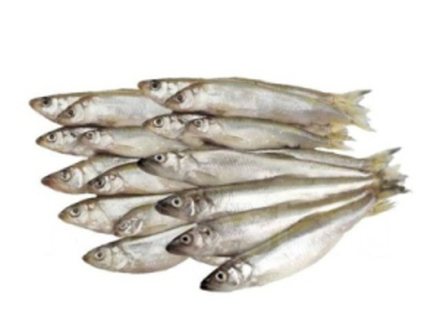 Корюшка азиатская с/м 17+ фасовка IQF 1/5 кг