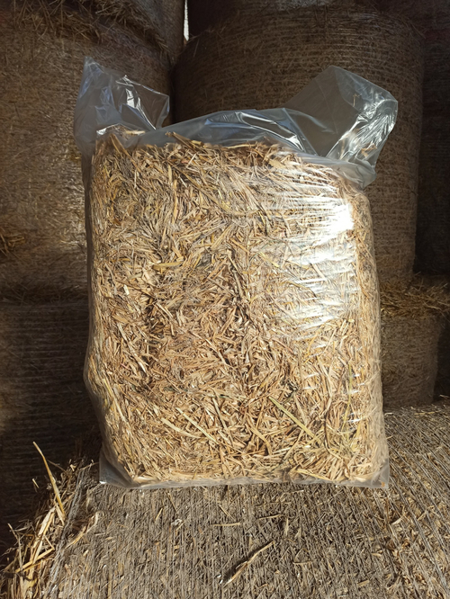 Солома ячменная прессованная в пакете 10 кг