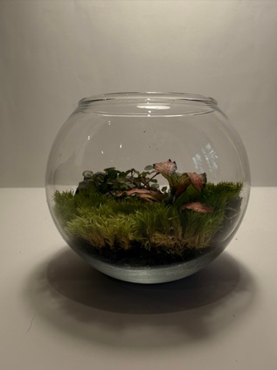 Флорариум XS (до 10 см)