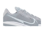 Кроссовки Nike Air Zoom G.T. Cut 1 Tb "Wolf Grey"
