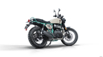 Royal Enfield Bear 650 Two Four Nine (Premium)