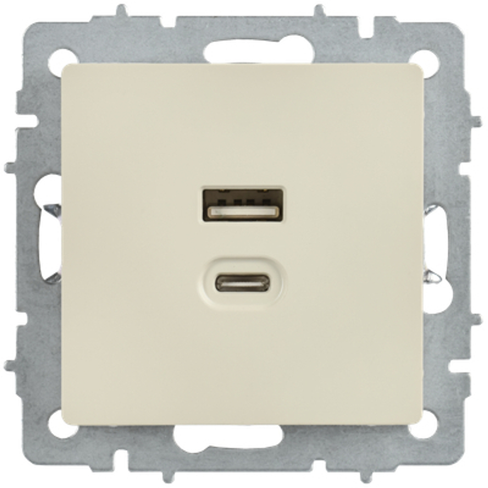 BRITE Розетка USB A+C 45Вт высокоскоростная зарядка РЮ11-2-БрКр бежевый IEK