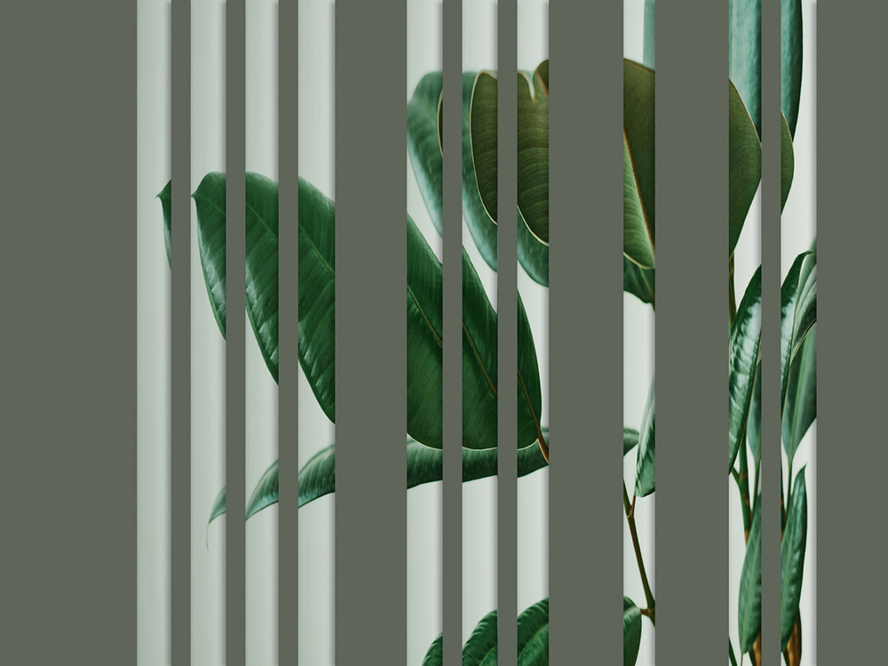 Дизайнерские обои Wall Street GreenDay-22