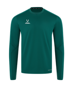 Джемпер тренировочный DIVISION PerFormDRY Pro Training Top, темно-зеленый
