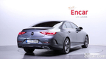 Mercedes-Benz CLS-Class C257 CLS300d 4MATIC (04.2022)