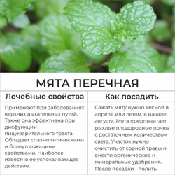 Набор семян УКРОП брак