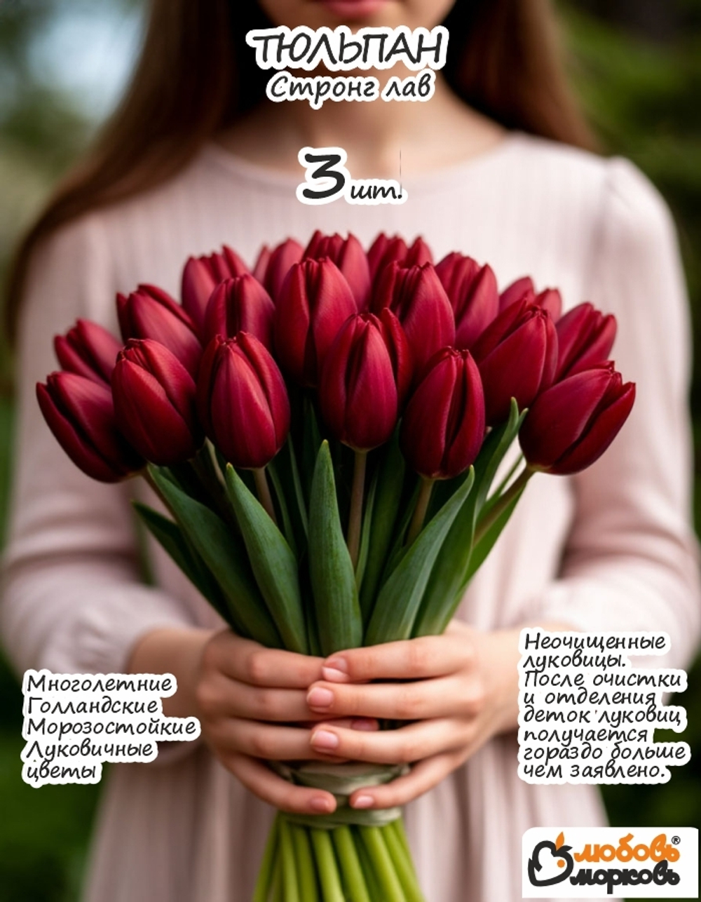Тюльпан Луковица, Стронг Лав 3+ шт
