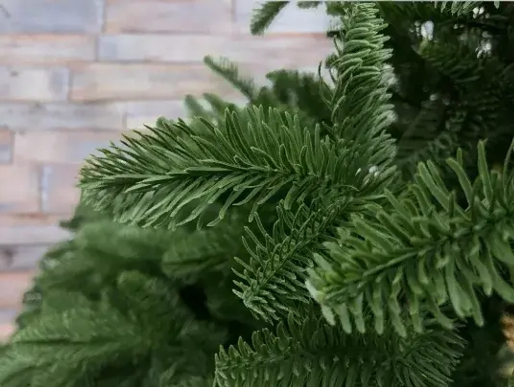 Елка Нормандия 260 см., темно зеленая, стройная, литая хвоя, Triumph Tree (72140)