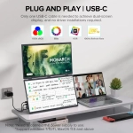 18.5" Портативный двойной монитор с откидной подставкой Delta Plus FHD IPS 1980х1080, 100 Гц