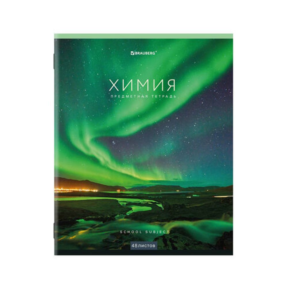 Тетради предметные, КОМПЛЕКТ 12 ПРЕДМЕТОВ, КЛАССИКА NEW, 48 л., обложка картон, BRAUBERG, 404322