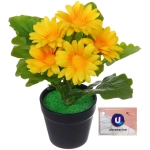 Цветочная композиция «Поцелуй лета» Хризантема желтая 20см