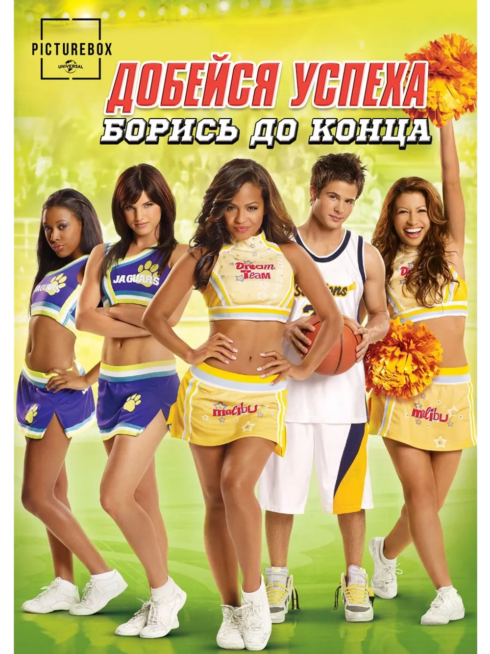 Добейся успеха: Борись до конца! (2009) (DVD-R)