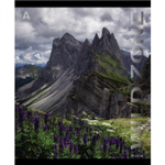 Тетрадь 36 л., А5, линия, Alingar, "Wild zone", скрепка, офсет, мелованная бумага, 5 дизайнов в пленке т/у