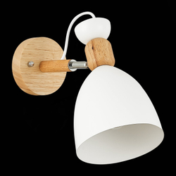 Светильник настенный Evoluce Balcamo SLE103801-01