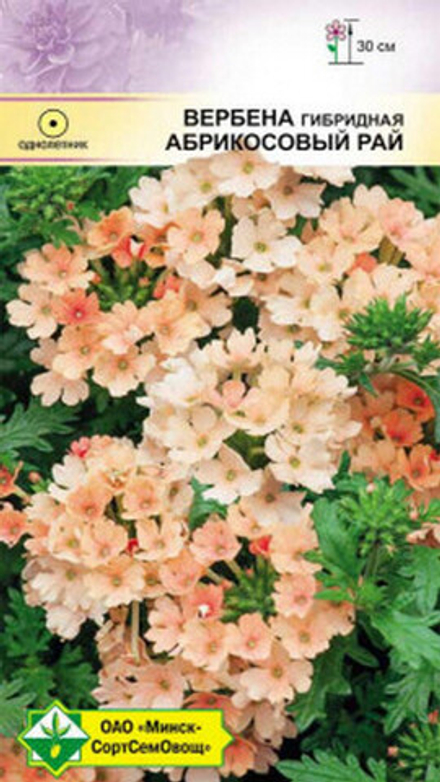 Вербена гибридная "Абрикосовый рай" 0.1г., Германия.