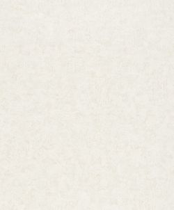 Otaru / Kumano / Surface