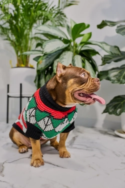 Для собачки