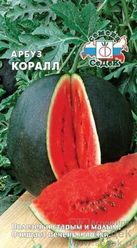 Арбуз Коралл 1 г Седек
