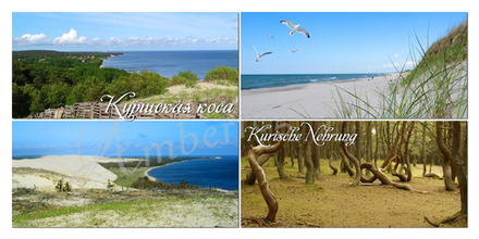 Открытка Коллаж 4 в 1 Куршская коса