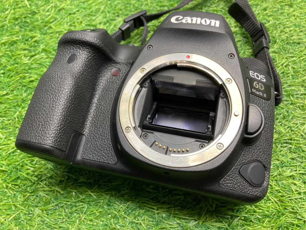Canon EOS 6D Mark II 1050 кадров