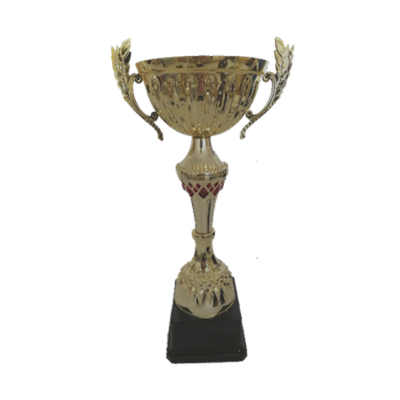 Кубок GD 2101 A