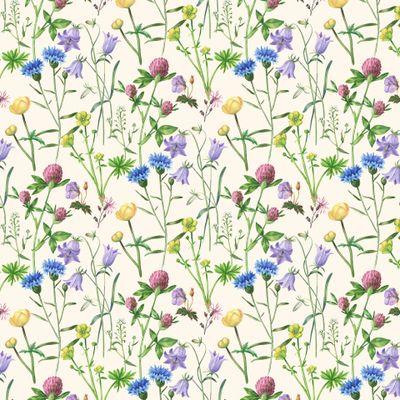 Цветочная поляна