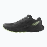 Кроссовки для бега Salomon Pulsar black/black/patina green