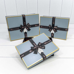 Коробка 29х21х9.5 см Набор 3 шт (Голубой, Черный)