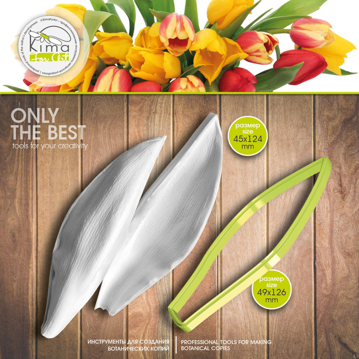 Тюльпан лист средний узкий