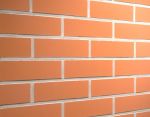 Feldhaus Klinker - R220NF9, Classic Terracotta Liso, 240x9x71 - Клинкерная плитка для фасада и внутренней отделки