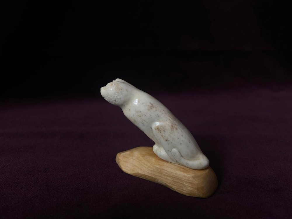 Кот 3