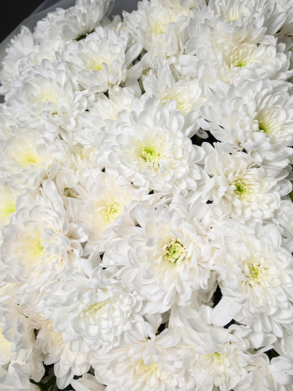 Облако любви 25 *