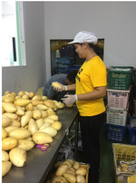 манго из Тайланда. сорт «Нам Док Май»