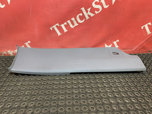 Накладка салона левая 2018г.