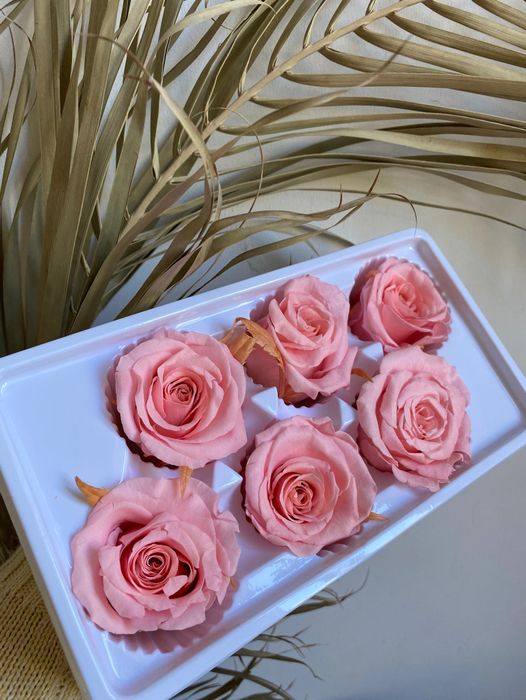 Роза классическая насыщенная розово-персиковая d=5 см